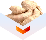 имбирь от глистов