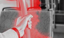 паразиты в транспорте